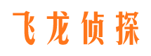 兰西找人公司